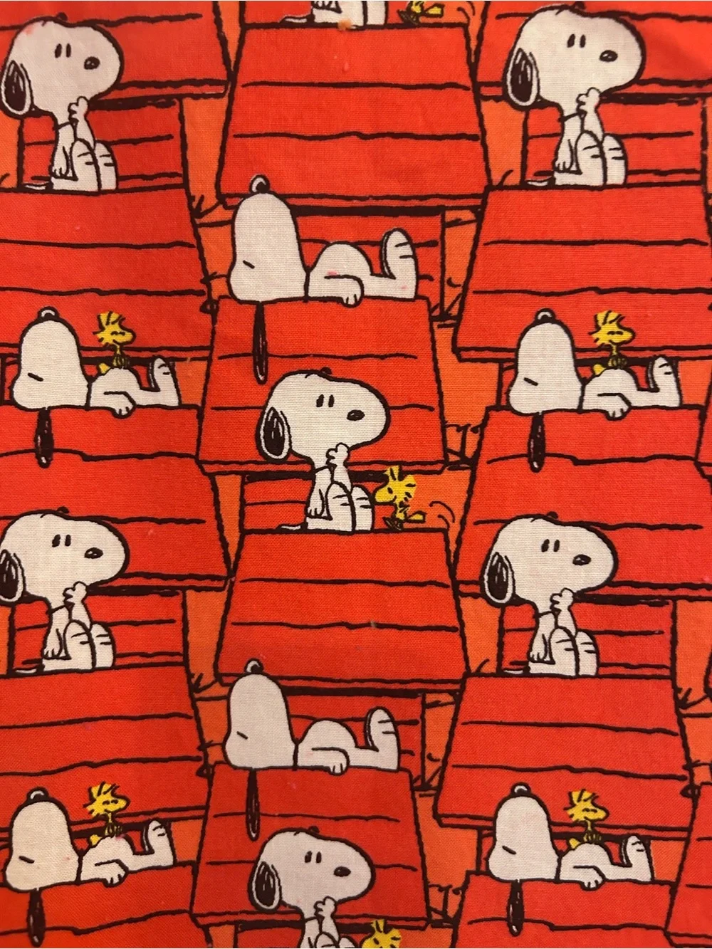 Peanuts Gang snoopy woodstock